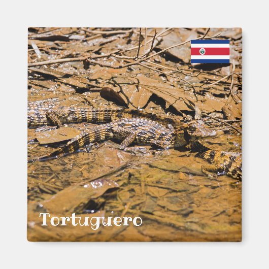 コスタリカ，トルトゥゲロ – ベビーワニ マグネット (正面)