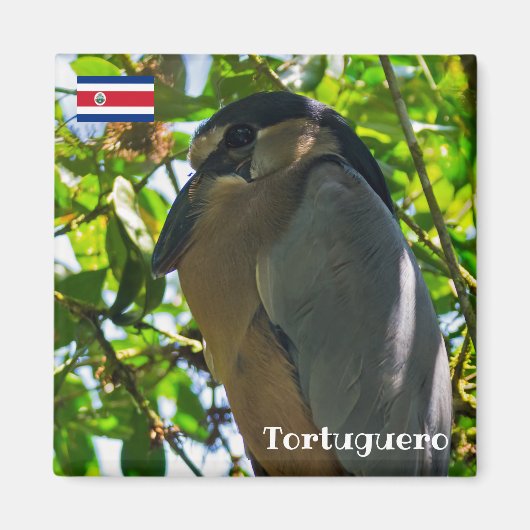 コスタリカ,トルトゥゲロ – ボートバードヘロン マグネット (正面)