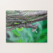 コスタリカ,トルトゥゲロ – Basilisk Lizard ジグソーパズル (横)