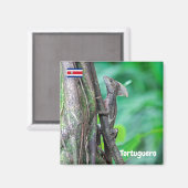 コスタリカ，トルトゥゲロ – Basilisk Lizard マグネット (正面/裏面)