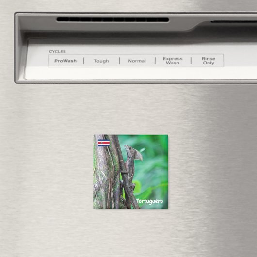 コスタリカ,トルトゥゲロ – Basilisk Lizard マグネット (インサイチュ (食洗機))