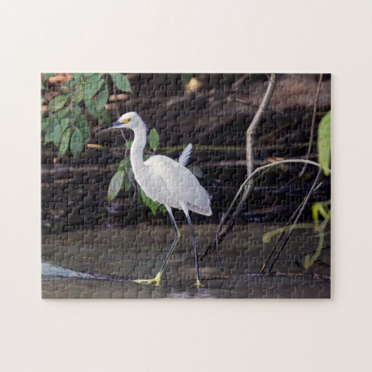 コスタリカ,トルトゥゲロ – Egretta thula ジグソーパズル (横)