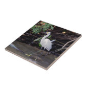 コスタリカ，トルトゥゲロ – Egretta thula タイル (側面)