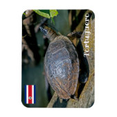 コスタリカ、トルトゥゲーロ - カワガメ マグネット (縦)