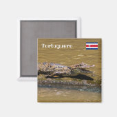 コスタリカ、トルトゥゲーロ - 笑うワニ マグネット (正面/裏面)