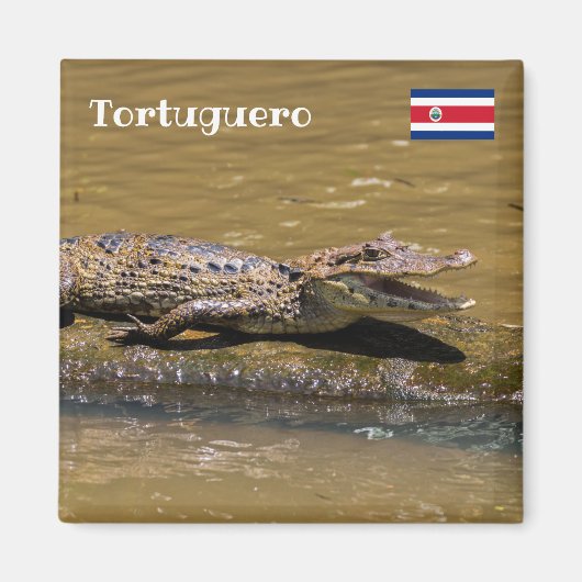 コスタリカ、トルトゥゲーロ - 笑うワニ マグネット (正面)