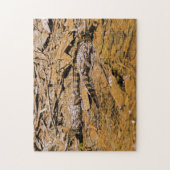 コスタリカ、トルトゥゲーロ - 赤ちゃんワニたち ジグソーパズル (縦)