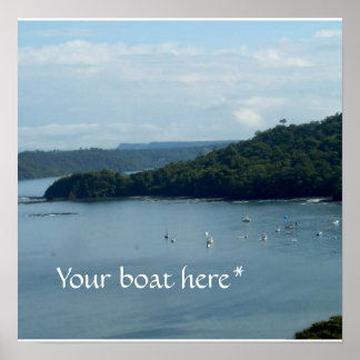 コスタリカ・ドリーミン ポスター