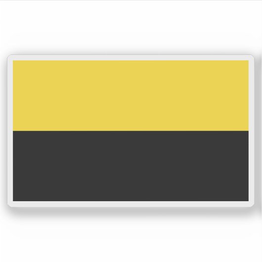 コスタリカ・ナランホ国旗 シール (正面)