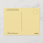 コスタリカ・ハミングバード ポストカード (裏面)