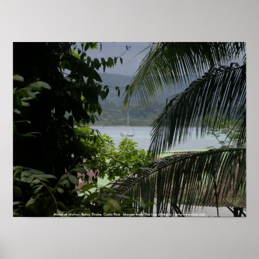 コスタリカ,バイア・ドレイクいかり,モイラアットコスタリカ ポスター (正面)