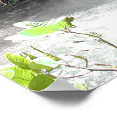 コスタリカ，フォーチュナ周辺のカタラタ秋 ポスター (角)