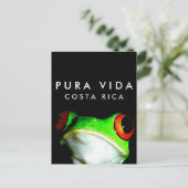 コスタリカ プラ ヴィダ ツリーフロッグ ポストカード (スタンド正面)