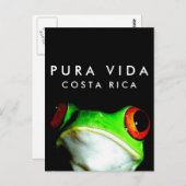 コスタリカ プラ ヴィダ ツリーフロッグ ポストカード (正面/裏面)