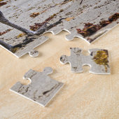 コスタリカ，プンタカフイタ – 黒いハゲワシ ジグソーパズル (側面)