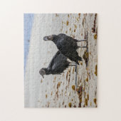 コスタリカ，プンタカフイタ – 黒いハゲワシ ジグソーパズル (縦)