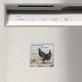 コスタリカ，プンタカフイタ – 黒いハゲワシ マグネット (インサイチュ (食洗機))