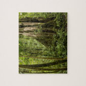 コスタリカ、ボスク·デ·パス、クラウド·フォレスト ジグソーパズル (縦)