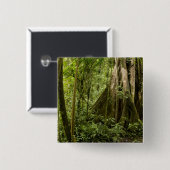 コスタリカ、ボスク·デ·パス、クラウド·フォレスト 缶バッジ (正面&裏面)