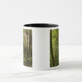 コスタリカ，ボスケ・ド・パスの雲の森 マグカップ (中央)