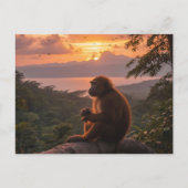 コスタリカ ポストカード (正面)