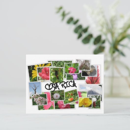 コスタリカ ポストカード (スタンド正面)