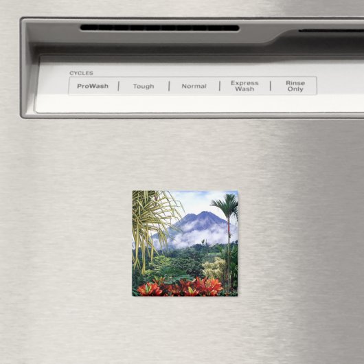 コスタリカ マグネット (インサイチュ (食洗機))