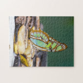 コスタリカ – マラカイトバタフライ ジグソーパズル (横)