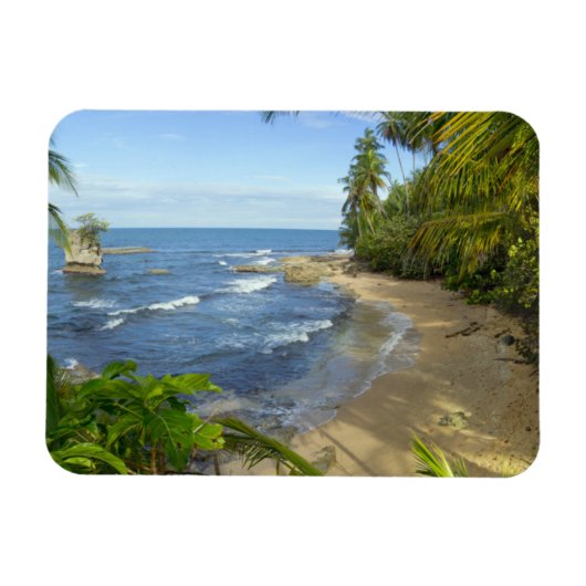 コスタリカ、マンザニョ野生生物保護区 マグネット (横)