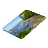 コスタリカ、マンザニョ野生生物保護区 マグネット (左側)