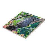 コスタリカ,ムエル – 木の中で休む怠惰なイグアナ タイル (側面)