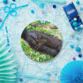 コスタリカ，ムエル – 木の中で休む怠惰なイグアナ ペーパープレート (パーティー)