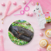 コスタリカ，ムエル – 木の中で休む怠惰なイグアナ ペーパープレート (パーティー)