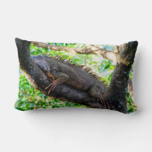 コスタリカ,ムエル – 木の中で休む怠惰なイグアナ ランバークッション (裏面)