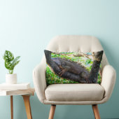 コスタリカ,ムエル – 木の中で休む怠惰なイグアナ ランバークッション (椅子)