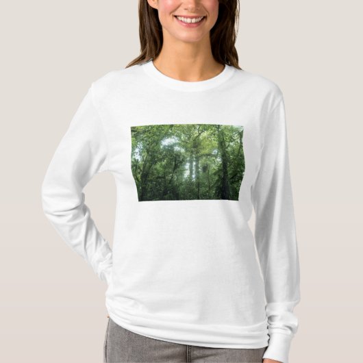 コスタリカ モンテベルデの雲霧林 Tシャツ (正面)
