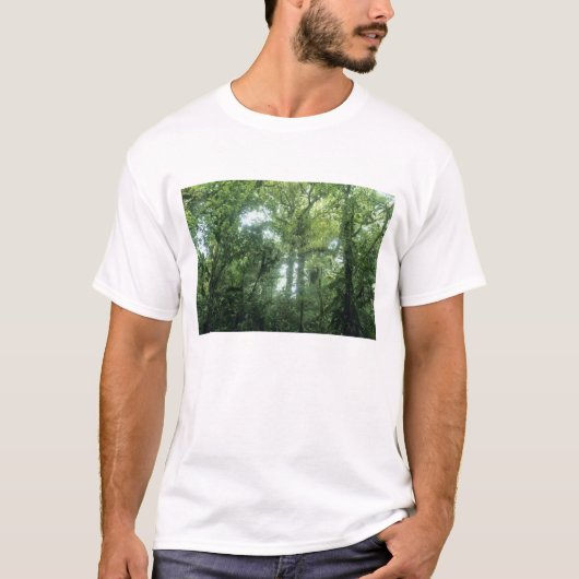 コスタリカ モンテベルデの雲霧林 Tシャツ (正面)