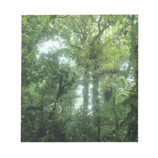 コスタリカ，モンテベルデ雲林。 ノートパッド (正面)