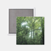 コスタリカ，モンテベルデ雲林。 マグネット (正面/裏面)