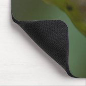 コスタリカ、モンテベルデ、アカガエル マウスパッド (コーナー)