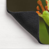 コスタリカ、モンテベルデ、アカガエル マウスパッド (コーナー)