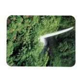 コスタリカ。ラパスの滝と患者 マグネット (横)