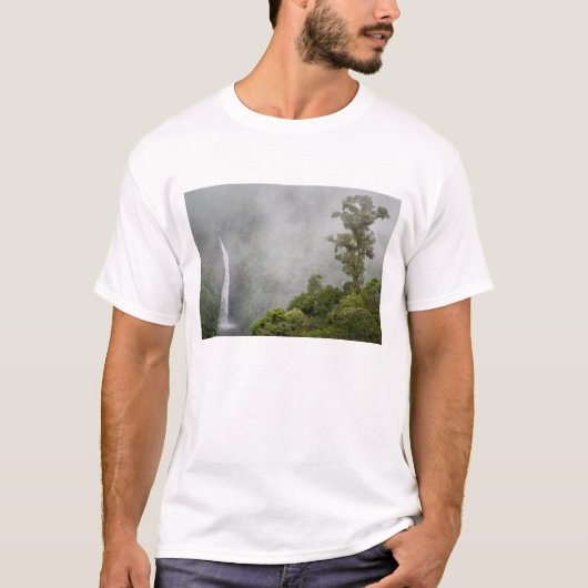 コスタリカ ラパスの近くの山の雲霧林 Tシャツ (正面)
