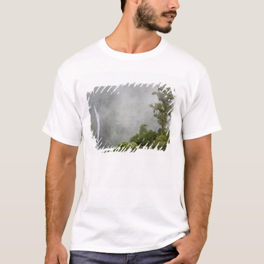コスタリカ ラパスの近くの山の雲霧林 Tシャツ (正面)