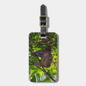 コスタリカ - 幸せな怠けサル、アントニオ・マヌエル国立公園 ラゲッジタグ (正面縦)