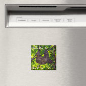 コスタリカ-幸せな怠惰 マグネット (インサイチュ (食洗機))