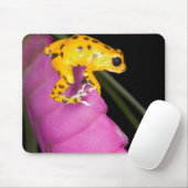 コスタリカ。毒矢のカエルのクローズアップ マウスパッド (マウス)