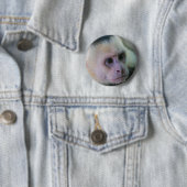 コスタリカ-白い頭のカプチンザル 缶バッジ (インサイチュ)