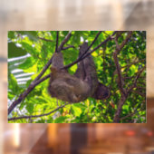 コスタリカ – Happy Lazy Sloth, Antonio Manuel NP ウィンドウサイン (シート2)