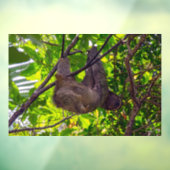 コスタリカ – Happy Lazy Sloth, Antonio Manuel NP ウィンドウサイン (シート3)